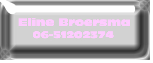 50x Strijk Naamlabel Chroom Strijkletters Flex Baby Rose - afb. 2