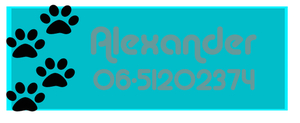 40x Naam label Poot Strijkletters Flex Turquoise - afb. 1