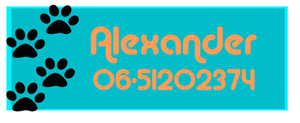 40x Naam label Poot Strijkletters Flex Pastel Oranje - afb. 1