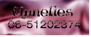 40x Naam label zijde Strijkletters Flex BORSTLOGO - afb. 1