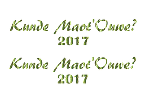 Carnaval Kunde Maot'Ouwe 2017 Holografische Goud - afb. 2