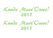 Carnaval Kunde Maot'Ouwe 2017 Glitter Neon Groen Glitter - afb. 2