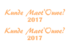 Carnaval Kunde Maot'Ouwe 2017 Glitter Neon Oranje Glitter - afb. 2