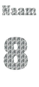 Losse set Naam met Rugnummer Design Zebra - afb. 2