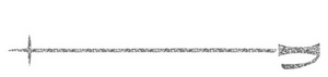 Ski stok Glitter Silver 450 - afb. 1