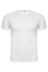 Wit
