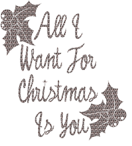 Vel Strijkletters All I Want For Christmas Design Luipaard - afb. 2