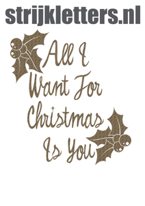 Vel Strijkletters All I Want For Christmas Design Panter - afb. 1