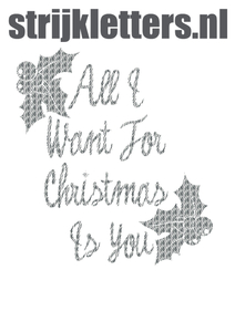 Vel Strijkletters All I Want For Christmas Design Zebra - afb. 1