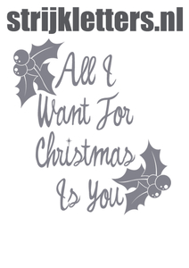 Vel Strijkletters All I Want For Christmas Polyester Ondergrond Grijs - afb. 1