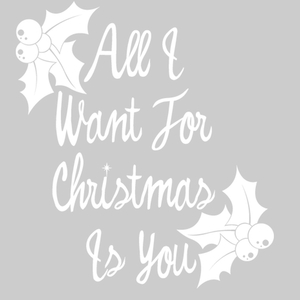 Vel Strijkletters All I Want For Christmas Polyester Ondergrond Wit - afb. 2