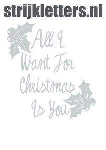 Vel Strijkletters All I Want For Christmas Polyester Ondergrond Zilver - afb. 1