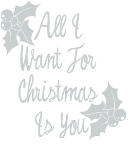 Vel Strijkletters All I Want For Christmas Polyester Ondergrond Zilver - afb. 2