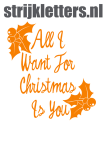 Vel Strijkletters All I Want For Christmas Flock Neon Oranje - afb. 1