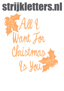Vel Strijkletters All I Want For Christmas Glitter Neon Oranje Glitter - afb. 1