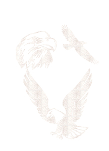 Vel Strijkletters Arend Glitter White Glitter 444 - afb. 2