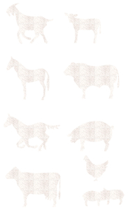 Vel Strijkletters Boerderij Glitter White Glitter 444 - afb. 2