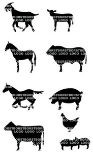 Vel Strijkletters Boerderij Flex BORSTLOGO - afb. 2