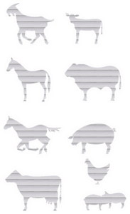 Vel Strijkletters Boerderij Glitter Rainbow White 488 - afb. 2