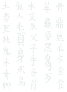Vel Strijkletters Chinese Tekens Design Carbon Wit - afb. 2