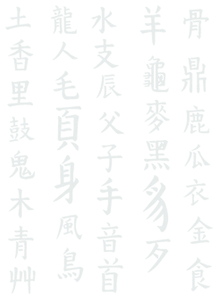 Vel Strijkletters Chinese Tekens Design Carbon Wit - afb. 2