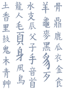 Vel Strijkletters Chinese Tekens Design Jeans - afb. 2