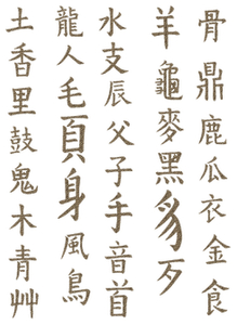 Vel Strijkletters Chinese Tekens Design Panter - afb. 2