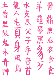 Vel Strijkletters Chinese Tekens Polyester Ondergrond Neon Roze - afb. 2