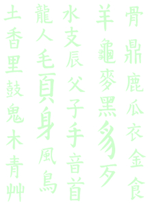 Vel Strijkletters Chinese Tekens Flex Mint Groen - afb. 2