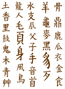 Vel Strijkletters Chinese Tekens Flock Bruin - afb. 2