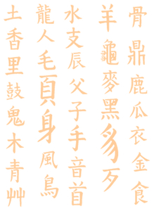 Vel Strijkletters Chinese Tekens Flock Huidskleur - afb. 2