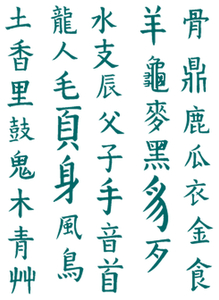 Vel Strijkletters Chinese Tekens Flock Teal - afb. 2