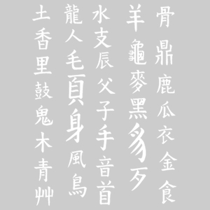 Vel Strijkletters Chinese Tekens Flock Wit - afb. 2
