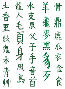 Vel Strijkletters Chinese Tekens Holografische Groen - afb. 2