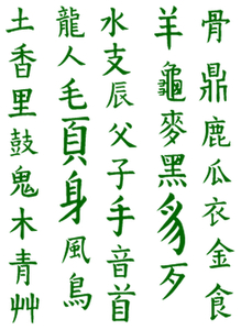 Vel Strijkletters Chinese Tekens Reflecterend Donker Groen - afb. 2
