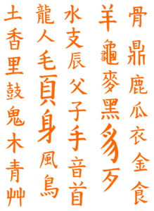 Vel Strijkletters Chinese Tekens Reflecterend Oranje - afb. 2