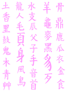 Vel Strijkletters Chinese Tekens Flex Neon Roze - afb. 2