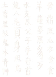 Vel Strijkletters Chinese Tekens Glitter Wit - afb. 2