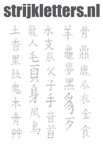 Vel Strijkletters Chinese Tekens Glitter Rainbow White 488 - afb. 1