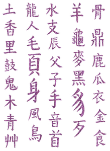 Vel Strijkletters Chinese Tekens Glitter Orchid - afb. 2