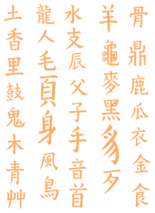 Vel Strijkletters Chinese Tekens Glitter Neon Oranje Glitter - afb. 2