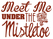 Vel Strijkletters Kerst Meet Me Under The Mistletoe Design Basketball - afb. 2