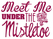 Vel Strijkletters Kerst Meet Me Under The Mistletoe Design Zebra Roze - afb. 2