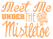Vel Strijkletters Kerst Meet Me Under The Mistletoe Glitter Neon Orange Glitter 449 - afb. 2
