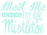 Vel Strijkletters Kerst Meet Me Under The Mistletoe Glitter Neon Bleu Glitter 480 - afb. 2