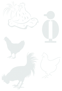 Vel Strijkletters Kippen Design Carbon Wit - afb. 2