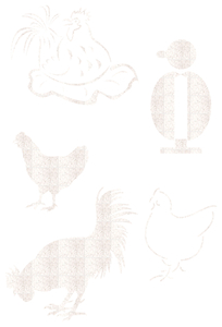 Vel Strijkletters Kippen Glitter White Glitter 444 - afb. 2