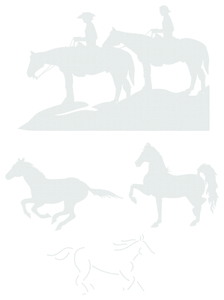 Vel Strijkletters Paarden Design Carbon Wit - afb. 2