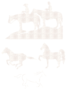 Vel Strijkletters Paarden Glitter Wit - afb. 2