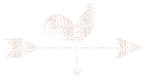 Vel Strijkletters Pijl met Haan Glitter White Glitter 444 - afb. 2